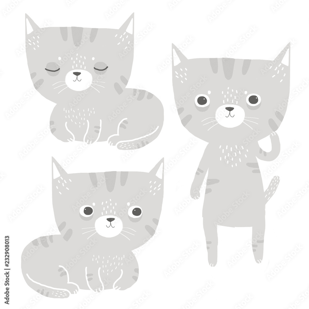 cat poses poses cat poses poses
