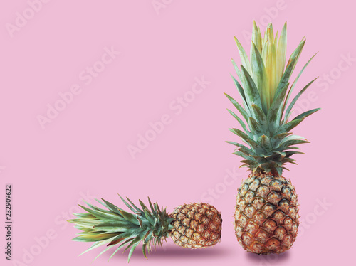 Pineapple on color.