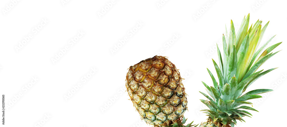 Fototapeta premium Pineapple with white background.