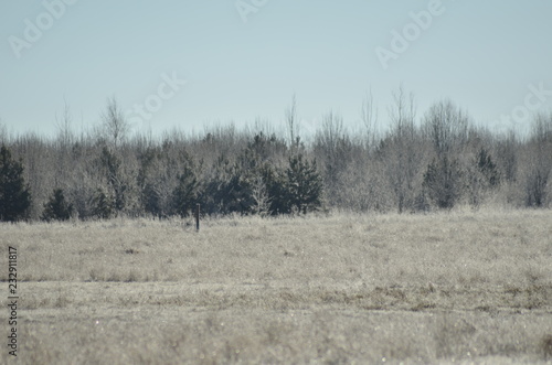 Wallpaper Mural Late autumn nature Torontodigital.ca
