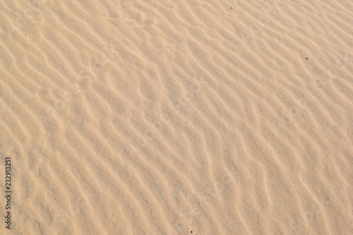 Texture. River. Sand