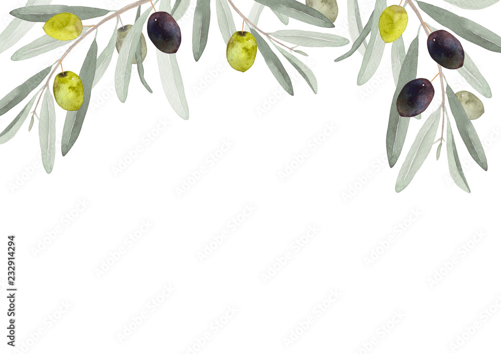 オリーブの葉と果実 背景 水彩 イラスト Stock イラスト Adobe Stock