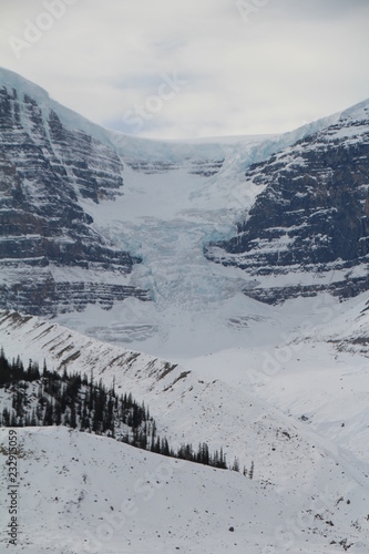 Stutfield Glacier, Jasper National Park, Alberta photo