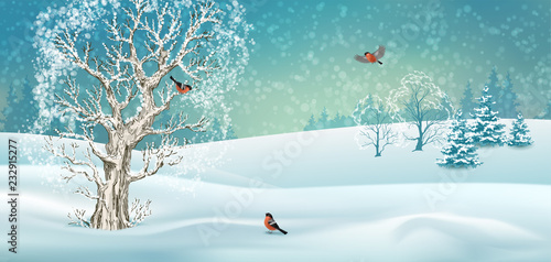 Vector Winter Landscape