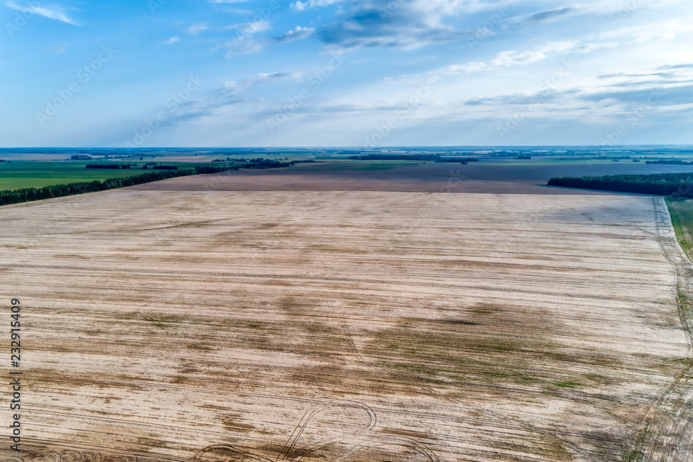 Rural flat landscape. Plowed and sown fields. Evening shooting. Rural flat landscape. Plowed and sown fields. Evening shooting.