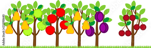 Different garden trees with ripe fruits isolated on white background