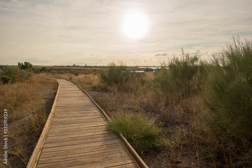Wooden path in the tables of daimiel, Ciudad real