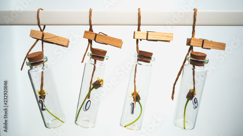 Four small transparent bottle with flowers inside and in each bottle there are numbers in 2019. Concept happy new year.