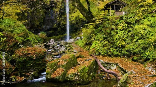 岐阜県　阿弥陀ヶ滝　紅葉　2018 ドローン空撮