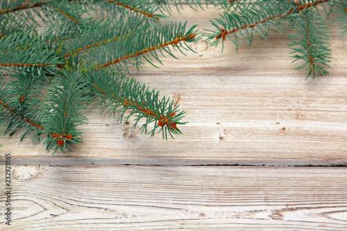Christmas composition with fir tree branches on wooden background.