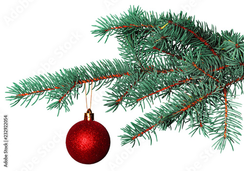 christmas ball on fir branch isolated on white background
