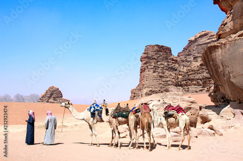 Caravan of camels in Wadi Rum desert, Jordan © frenta