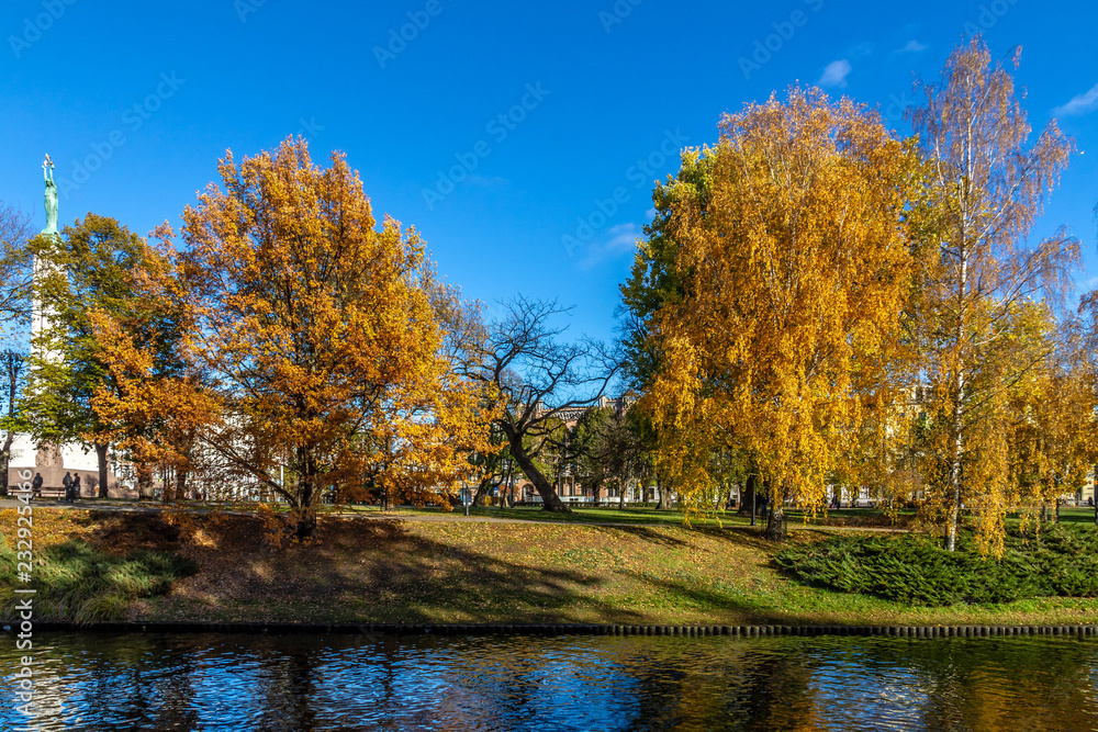 autumn in the park of riga