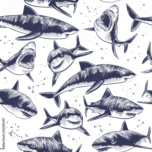 Sharks seamless pattern. Hand drawn underwater sea fish nautical japanese background. Illustration of underwater shark in sea, marine wildlife