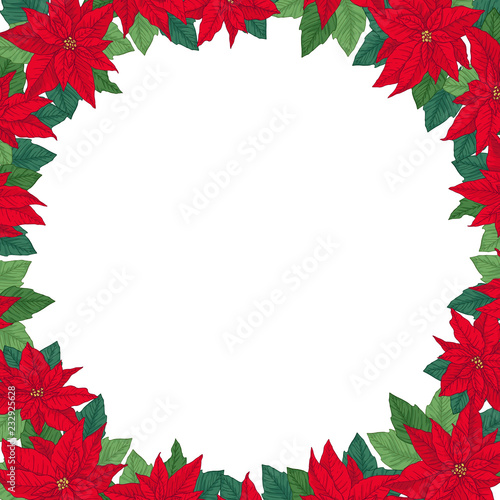 Christmas card with bright red poinsettia and leaves. Round frame for winter design. Vector background