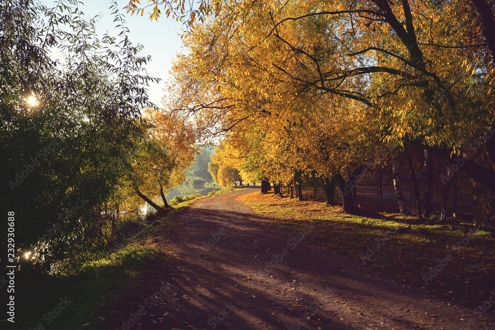 Obraz premium Beautiful autumn park. Autumn in Minsk. Autumn trees and leaves. Autumn Landscape.Park in Autumn.