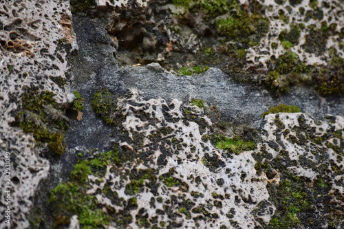 the surface of the stone overgrown with green moss