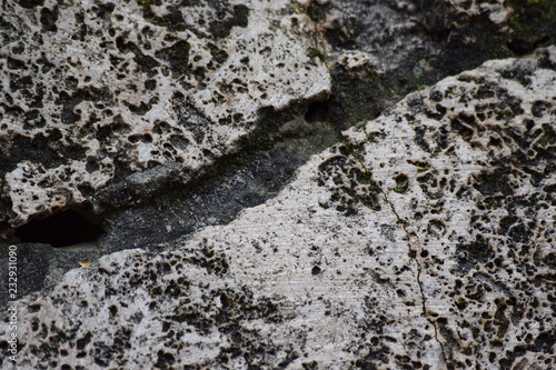 the surface of the stone overgrown with green moss