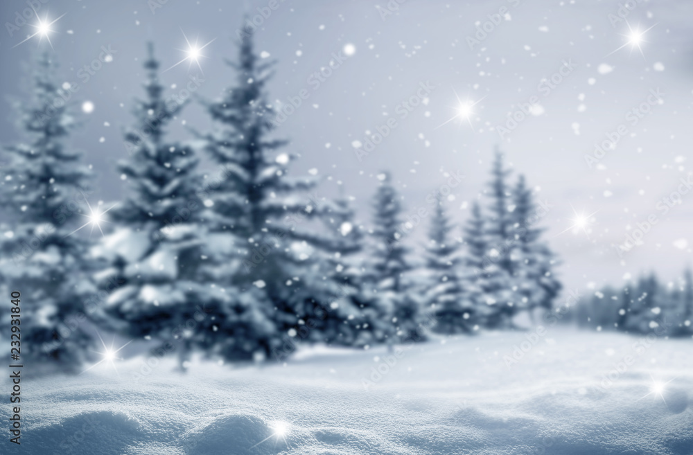 Beautiful winter night  landscape.Christmas background  with snow covered trees. Happy New Year greeting card with copy-space.