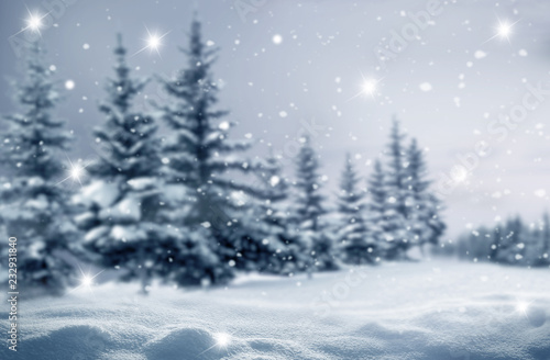 Beautiful winter night landscape.Christmas background with snow covered trees. Happy New Year greeting card with copy-space.
