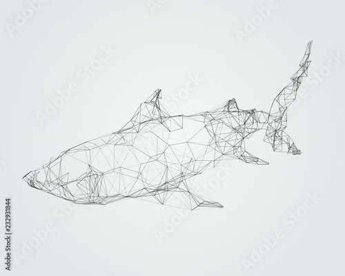 Abstract wireframed silhouette of a shark. Vector illustration.