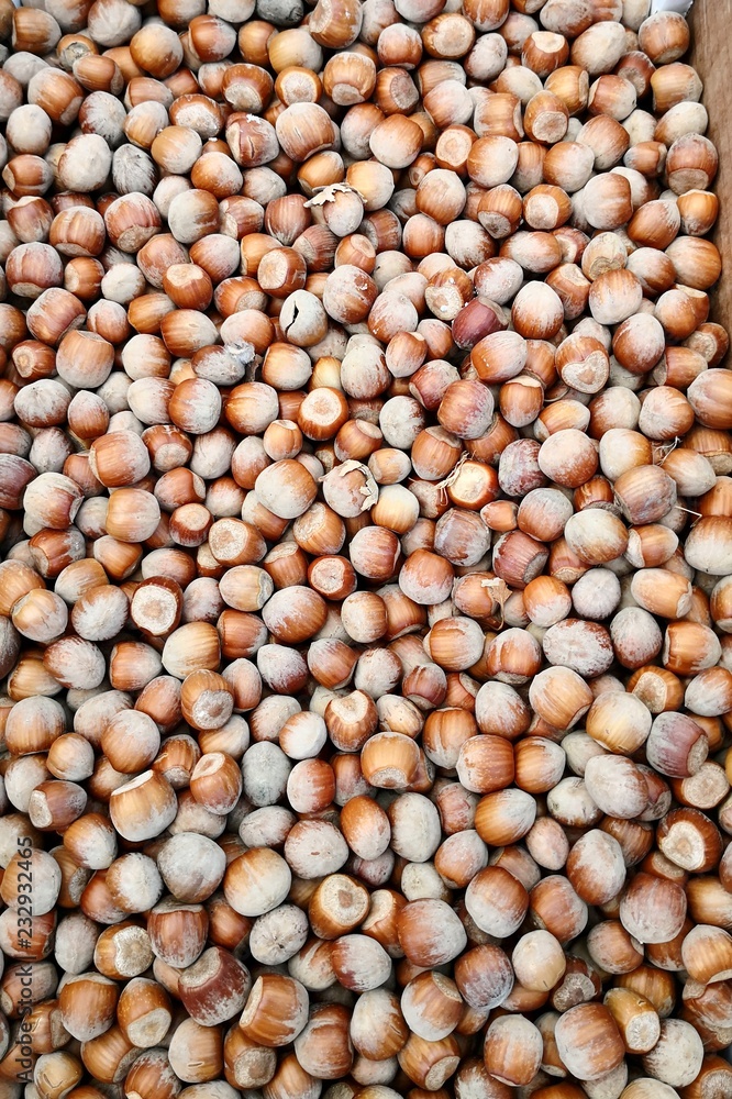 Hazelnuts full frame background Hazelnuts full frame background