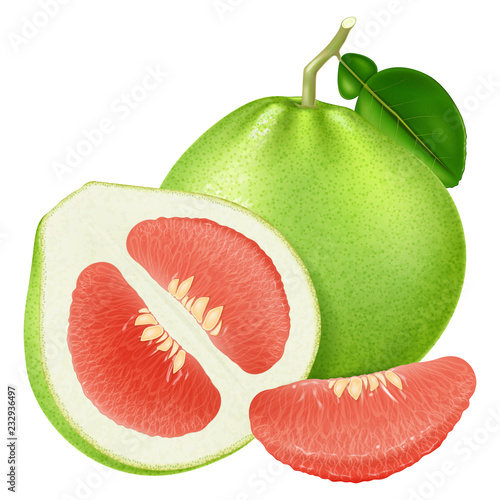 Fresh red pomelo. Vector illustration.