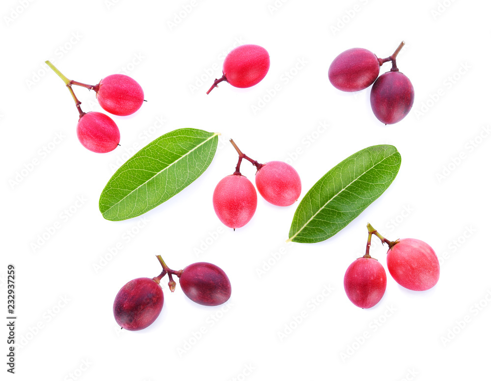 Carunda or Karonda isolated on white background Carunda or Karonda isolated on white background
