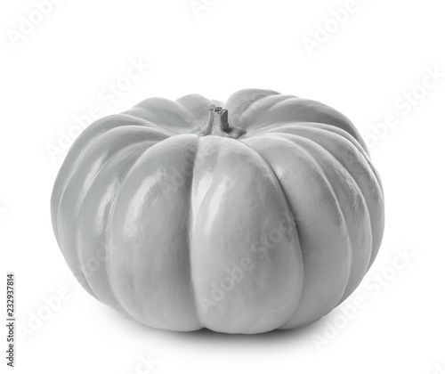 Gray pumpkin for autumn har...