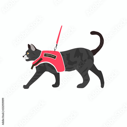Vector illustration of cat icon with leash isolated on white background.