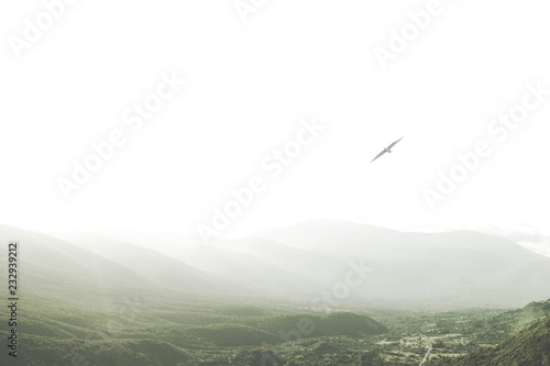 Canvas Print magnificent view with a bird flies free in the sky above green mountains