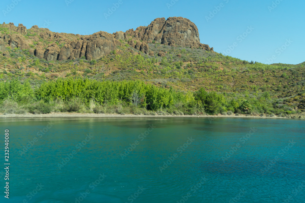 Mountain and sea. coastline with the overgrown rock