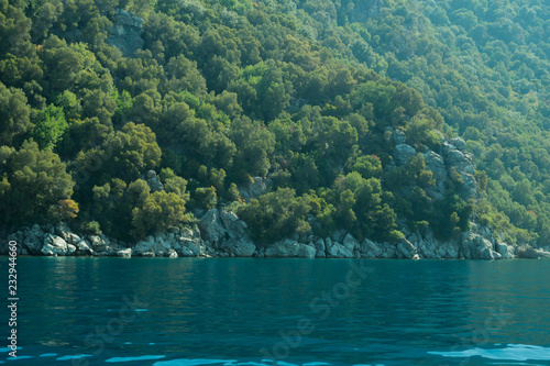 Mountain and sea. coastline with the forest and rock background © maxkolmeto