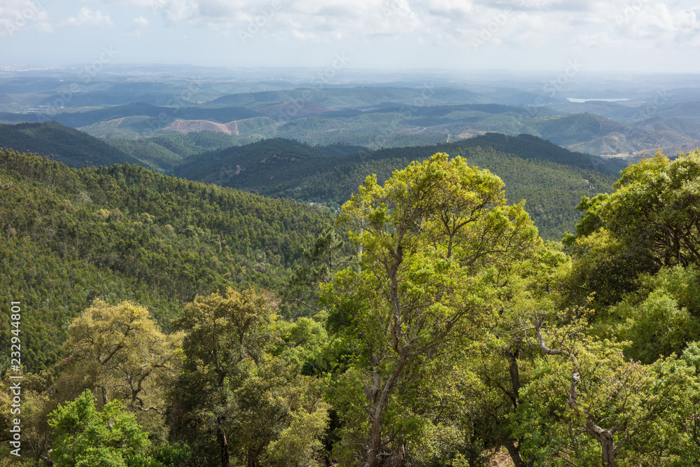 Fototapeta premium Alentejo, Portugals Hinterland, Blick über Hügel und Berge