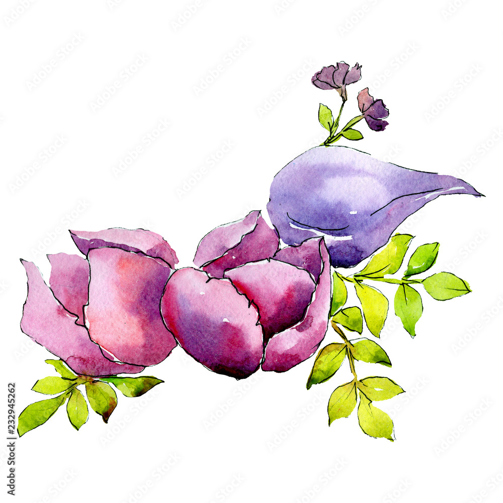 Fototapeta premium Pink purple flowers. Floral botanical flower. Isolated bouquet composition. Watercolor background illustration set.