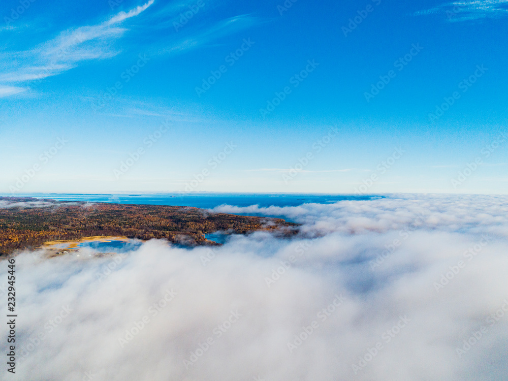 Obraz premium Aerial view over forest during vibrant autumn colors. Aerial view of seashore and clouds. Coastline with sand and water. Aerial drone view of forest. Aerial top view cloudscape. Texture of clouds.