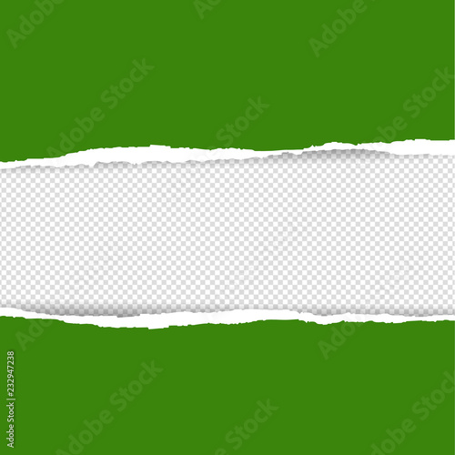 Green Torn Paper
