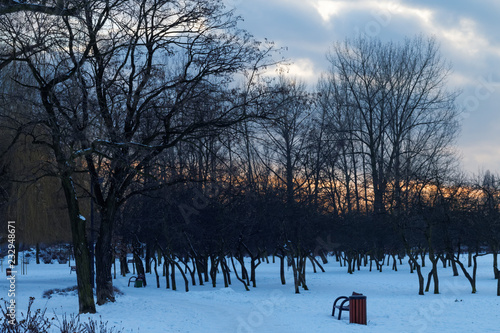 Fototapeta Naklejka Na Ścianę i Meble -  Zima w parku