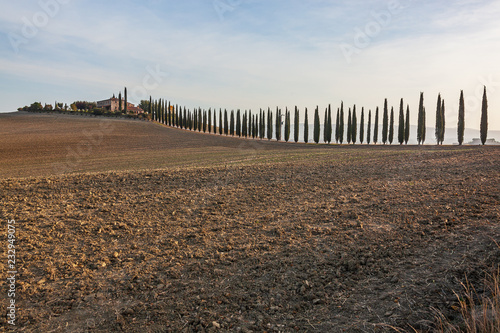 Traditional Tuscany landscape with cypress trees and farmhouse in morning sunlight, Italy