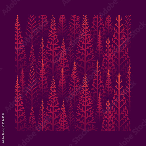 Pine tree forest illustration