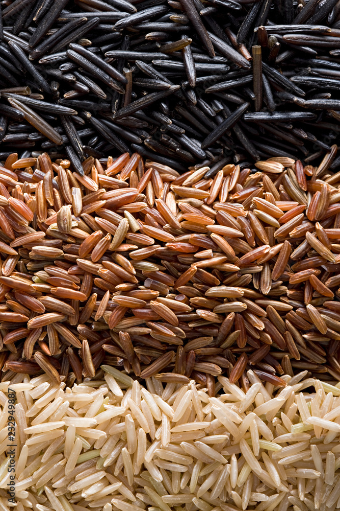 Assorted rice varieties, wild, camarge and white