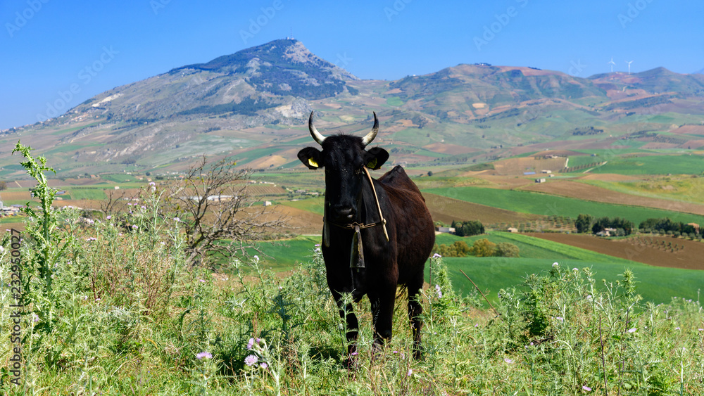 view of Sicily landscape