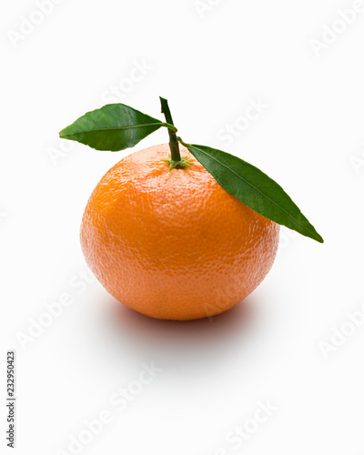 tangerine with leaves, isoltaed