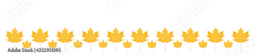 panorama pattern yellow maple leaf bright