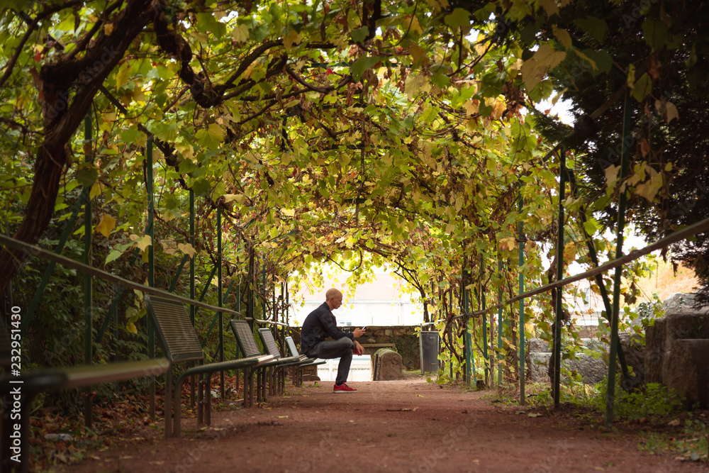 Fototapeta premium Man sitting in a tunnel of tree's on an autumn day.