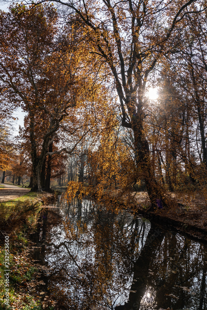 Fototapeta premium Fürst Pückler Park in Bad Muskau - Fall Impressions