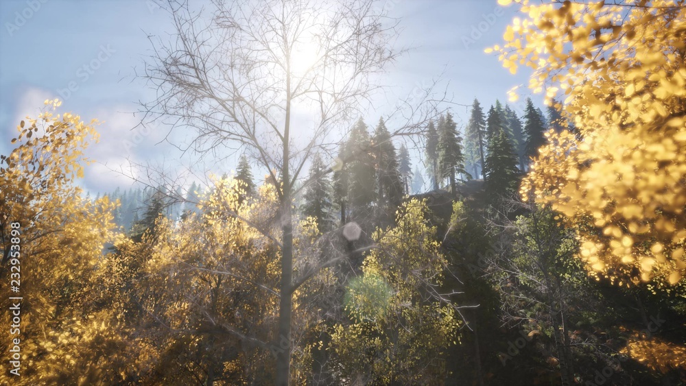 sun beams through trees at rock in mountains