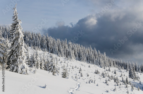 Amazing winter backcountry landscape