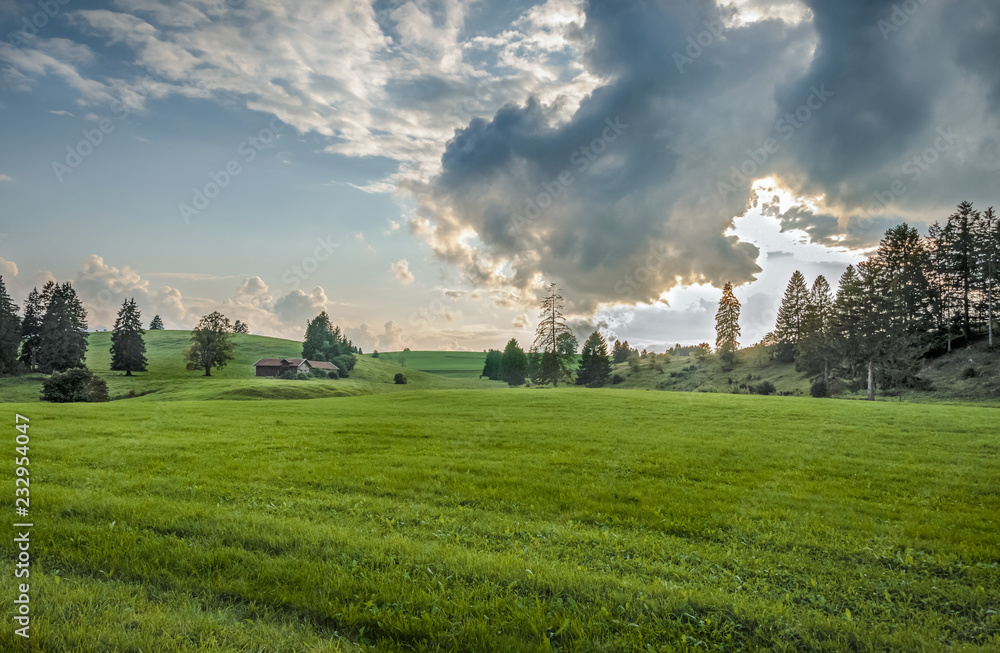 Landscape of green pasture land in southern Bavaria, Germany