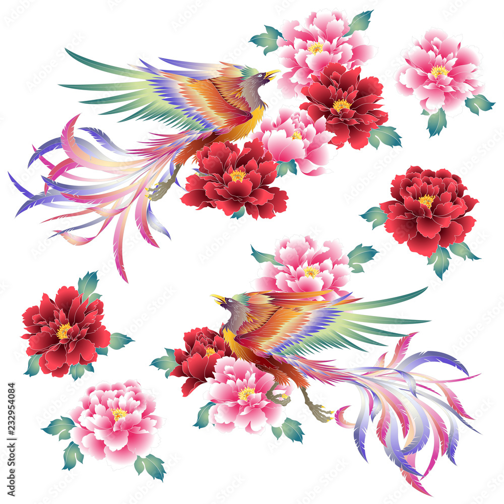 鳳凰と牡丹のイラスト Stock Vector Adobe Stock